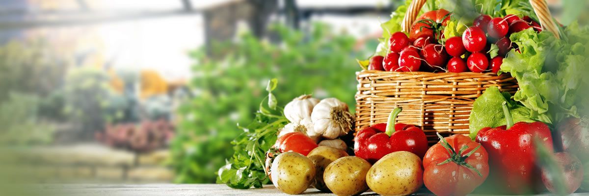 Ernährungsberatung Ernährungsberatung