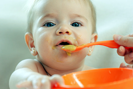 Von der Milch zum Brei Von der Milch zum Brei